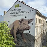 Graffiti-Künstler Raffael Strasser: 250 m² Wandbild Vollspalten-Schwein in Wien