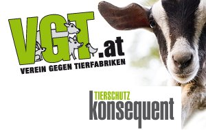 Banner | VGT-Logo | Spendengütesiegel