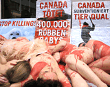 Spektakulärer Nackt-Protest gegen Robbenmord in Kanada!