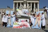 VGT fordert: Verbot unnötiger Tierversuche