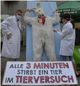 VGT-Vorarlberg: Anti-Tierversuchsaktionen in Feldkirch und Dornbirn