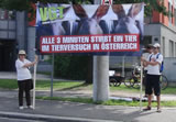 Ampel-Kreuzungsdemonstration jeden Montag in Linz