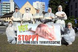 30 TierschützerInnen präsentieren tote Versuchstiere am Bregenzer Landhausplatz