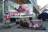 Innsbruck: 24 Stunden im körpergroßen Käfig gegen Tierversuche