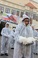 Tote Versuchstiere vor dem Rathaus in Eisenstadt: stummer Protest gegen Tierversuche