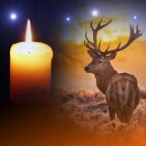 Laternenmarsch - Zum Gedenken an die Opfer der Jagd auf gezüchtete Tiere
