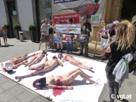 TierschützerInnen beim Nackt-Protest