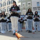 Mahnwache: 30 Opfer der Zuchttierjagd in den Armen von TierschützerInnen in Salzburg