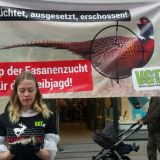 Mahnwache für 25 tote Zuchtfasane vor dem Landhaus in Graz