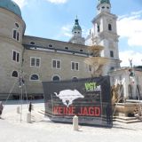 VGT: Wann endet die Feudaljagd auf gezüchtete Tiere in Salzburg?