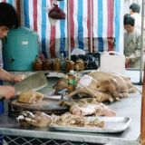 Yulin – wann hat das grausame Hunde-Schlachten ein Ende