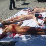 Einladung: Morgen nackte TierschützerInnen als erschossene Fasane in St. Pölten