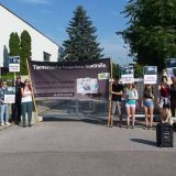 Kaninchen-Quälerei: VGT fordert Schließung der Tierversuchszucht!