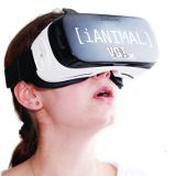 Einladung Fototermin „Kastration: Horror für Ferkel“ UND 360° Virtual Reality-Brille live zum Testen