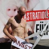 Fototermin: Fünf nackte Tierschützer werden ohne Schmerzausschaltung kastriert