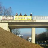 2 VGT-Demos auf Autobahnbrücken bei Eisenstadt fordern: Jagdverbot auf Zuchttiere