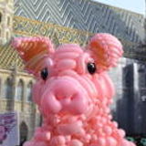 Einladung: Morgen Schweinekunstwerk am Grazer Hauptplatz: für ein Ende der betäubungslosen Ferkelkastration!