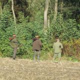 VGT fotografiert Jagd auf ausgesetzte Zuchtfasane in der Steiermark: Abbruch