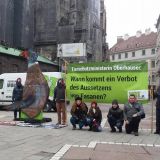 VGT fordert von Tierschutzministerin: Verbot des Auswilderns von Zuchtfasanen!