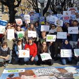 Tierschutzgesetz: Großdemos in Wien, Graz, Bregenz mit 50 teilnehmenden Organisationen