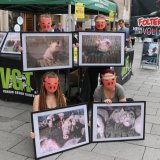 VGT-Aktion Schweinehaltung auf Vollspaltenboden: Betroffenheit am Grazer Hauptplatz