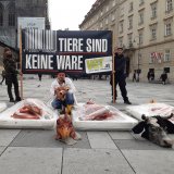 VGT fordert Parteien zum Welttierschutztag auf: Tierschutz im Parlament ernst nehmen!