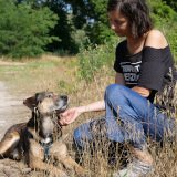 Tierschutz statt „Schutzdienst“ von Hunden