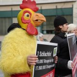 VGT: Steiermark muss sich schämen