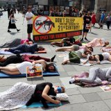 VGT-Aktion Wien: Hitzefrei für Fiakerpferde ab 30°C unbedingt notwendig