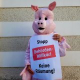 Demo gegen Behördenwillkür vor BH St. Pölten: Räumung Weideschweine droht