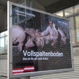 In Wien tauchen Plakate auf: Totschnig mit Vollspalten-Schweinen auf „ÖVP-Werbung“