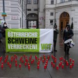 Einladung Wien: VGT entzündet Grabkerzen für auf Vollspaltenboden gestorbene Schweine
