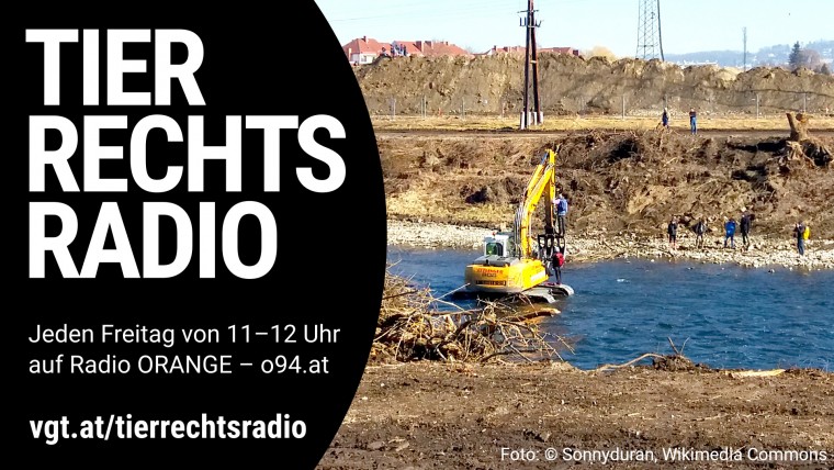 Sendungsbild für: Widerstand gegen das Murkraftwerk in Graz