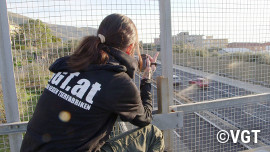 VGT-Aktivistin filmt Transporter von einer Brücke aus