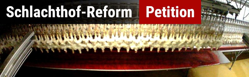 Petition für Schlachthof-Reform
