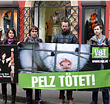 Graz: Engagierte TierschützerInnen informieren über das Pelztierleid!