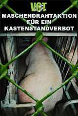 Ankündigung einer Aktion zu: Schweinekastenstand – zur totalen Bewegungslosigkeit verdammt!