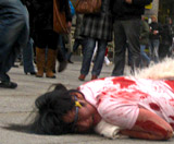 Pelz-Proteste: Kleider Bauer, Pulloveria und ein blutiger Flashmob