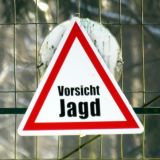 13. Treibjagd im Jagdgatter Weber bei Strem im Südburgenland seit Herbst 2015!
