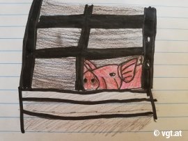 Zeichnung Schwein hinter Gittern