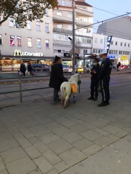 Pony, Bettler, Polizei