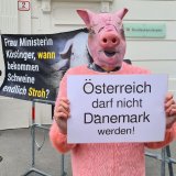 In Sachen Schweinefabriken: Österreich darf nicht Dänemark werden!