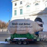 Protest-Tour durch Wien: 5 m großes Schwein gegen die Haltung auf Vollspaltenboden