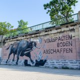 Wunderschönes Graffiti zu Stier auf Vollspaltenboden am Wiener Donaukanal aufgetaucht!