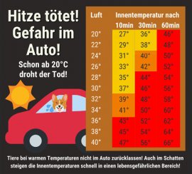 Infografik zum Hitzeproblem für Hunde im Auto