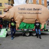 Landwirtschaftsminister belügt Bevölkerung über Verbot Vollspaltenboden Schweine 