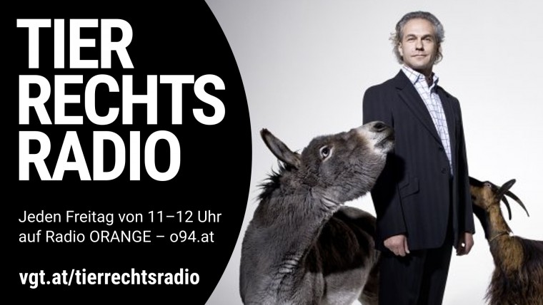 Sendungsbild für: Rechtsanwalt für Strafsachen im Tierschutz im Kanton Zürich
