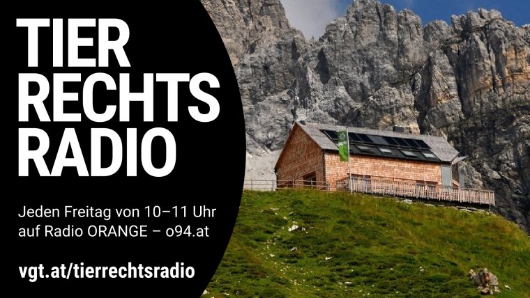 Sendungsbild für: Von der Veggie Berghütte des Alpenvereins auf 2020 m