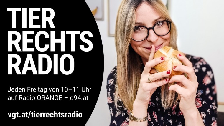 Sendungsbild für: Veganerin aus ORF-Brennpunkt-Sendung erzählt von ihren Erfahrungen